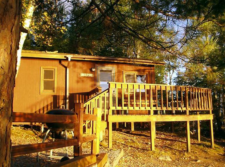 Red Pine Cabin Timber Trail Lodge Resort In Ely Mn